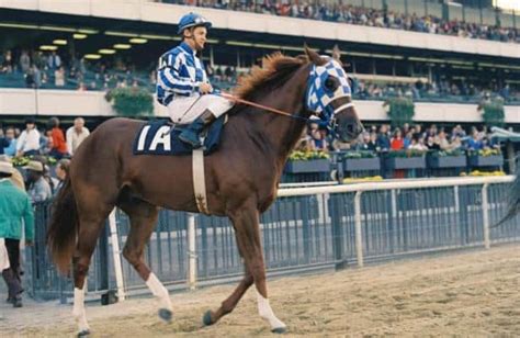 Flashback: These are the 9 fastest Belmont winners .